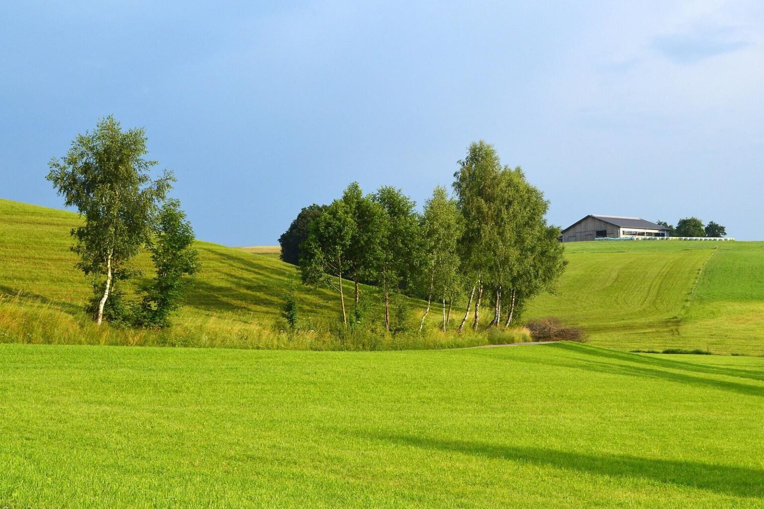 Landschaft im Mühlviertel